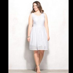 BEYOND By Ashley Graham for Dressbarn